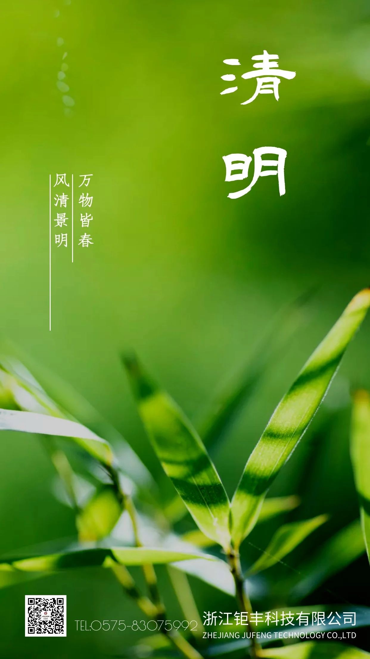 Qingming丨Vântul bate și Festivalul Qingming este plin de primăvară