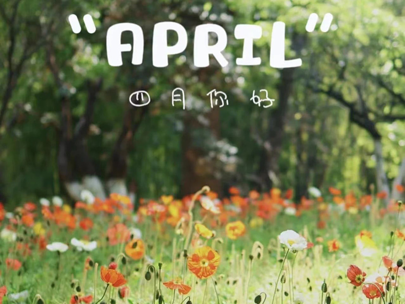 Urări de aniversare丨La mulți ani celor născuți în aprilie